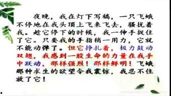 四年级语文下册教学视频,四年级语文下册教学视频精彩内容概述