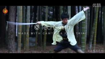 剑教学视频,跟随教学视频解锁剑法奥秘