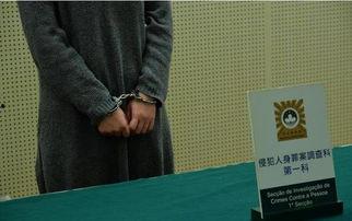 澳门性视频免费网站,暗藏的风险与警示