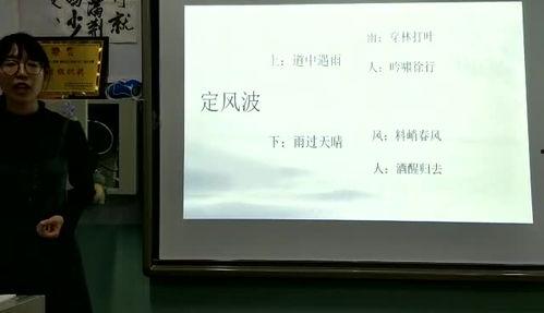 语文课视频,探寻语言之美，感悟文化底蕴