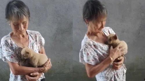 露出来的奶奶视频