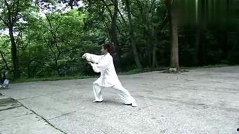 太极12式教学视频,跟随教学视频轻松入门