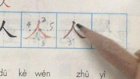 写字入门教学视频,写字入门教学视频精华概述